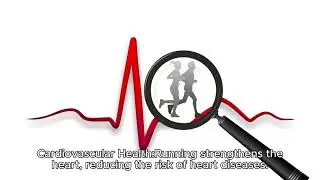 Runners Cardiovascular Health