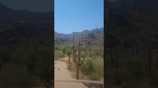 Summer in the desert 🏜.  More beautiful than I imagined. #summer2023 #summerinthedesert #arizona