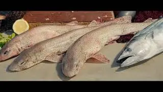 P&oacute;voa de Varzim - PNAES