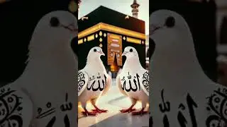 Most Beautiful Naat  ❤❤#naatzindagi #islamicstatus #allah #islamicvideo #beautiful