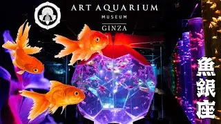 Art aquarium, Ginza, Tokyo, Japan
