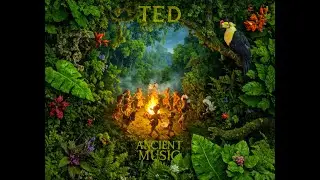 TED - Mother of Echoes (Official Audio Visualizer)