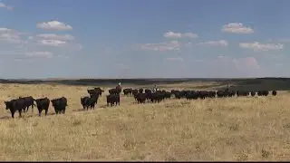 Montana Ag Network: Trade with Mexico important for U.S. agriculture