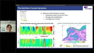 Lenaig Brun | Reworking and deeper sea transfert of cohesive turbiditic deposits