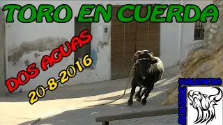 BOUS AL CARRER - DOS AGUAS (V) PRECIOSO PUEBLO Y TORO EN CUERDA (20-8-2016) - 1080 FULL HD