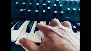 MOOG SUB 37- SKALP 