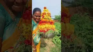 Saraswathi Vidya Niketan ipur Dasara celebrations