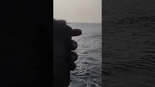 fishing ka shok 🤤 #fishing #shorts #shortvedio