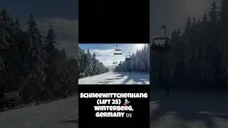 Perfect Bluebird Run in Winterberg ❄️💙   Schneewittchenhang #Shorts