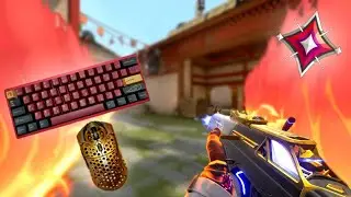 0% Recoil Vandal