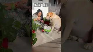 Gapudi&rsquo;s Plan to Eradicate Hunger 😌 #sourshy #smartgapu #funny #dog #cute #shorts #ytshorts