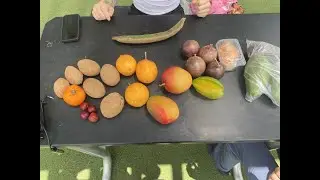 Fruit for Thought