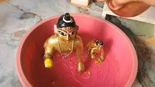 শীতকালে সকালে গোপালের নিত্য সেবা | Laddu Gopal morning Puja 
