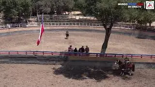 MOVIMIENTO A LA RIENDA / CLUB OLMUE ASOCIACION LIMACHE