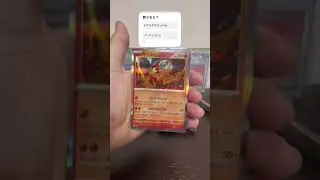 テラスタルフェスex再販されてましたヽ(&acute;▽｀)/#ポケモンカード