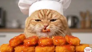 Chef Cat's Crispy Delight: ASMR Chicken Nugget Munching! (So Relaxing!)