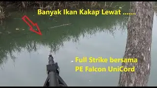 Снапер Paser Fish-Strike с полиэтиленовым шнуром Falcon Uni Cord