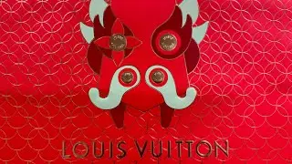 Louis Vuitton Speedy Bandouli&egrave;re 20 Damier Ebene canvas | LV Remix Collection #bag #lv #louisvuitton
