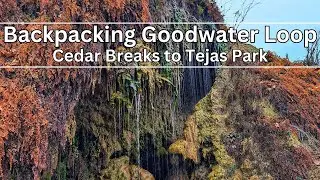 Backpacking the Goodwater Loop: Cedar Breaks to Tejas Park (with Waffle!)