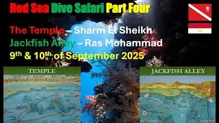 Red Sea Dive Safari Part Four - Temple & Jackfish Alley