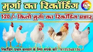 मुर्गा बेचने का रिकॉर्डिंग प्रचार ||#murga Bechne Ka Recording Prachar || Murga Ka Recording Prachar