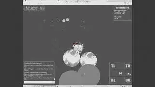 The Gota.io :Fire: