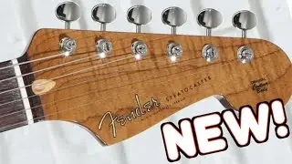 New Dealer Exclusives! (2025 Gibson, Fender, Schecter+)
