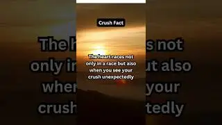 Fluttering Hearts: Cardio Workouts and Crush Chronicles#HeartFlutter #CrushChronicles @factchq113