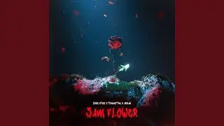 3Am Flower