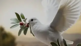 What Does The Olive Branch Mean? THE True Understand Of Love, Joy, Peace, MUST WATCH Video 🔥