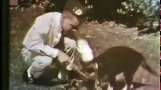 BrotherBuzz#3 Working Dogs