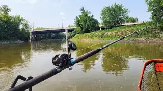 URBAN River Catch and Cook!!! (Big Fish)