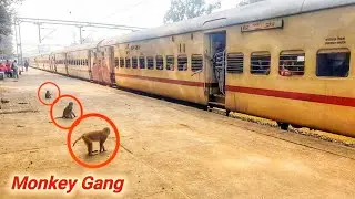 Bareilly Express Beautiful Departure | Amazing Acceleration | Indian Railways