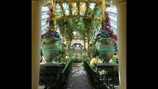 The Beauty of Bellagio Las Vegas 2018