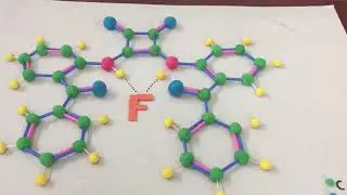 Squaramide receptor