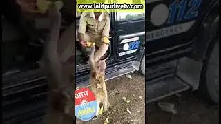 humanity  viral police kindness short short viral video lalitpur