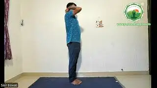 🌿 Yoga Teachers Training | Online Yoga Practice | YCB Yoga Course | AYUSH 🌿11-08-2025