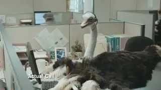 New Stride Doodle Berry Ostrich Commercial