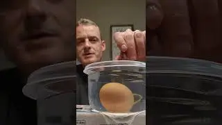 Good Egg or Bad Egg...how to tell. Btw don't wash them off until you eat them or they won't keep.