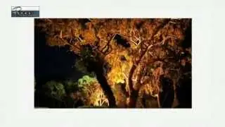 Boothwyn PA Tree Service