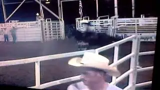 FLASH N CASH Barrel Horse for Sale