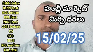 16-02-|| హుబ్లీ మార్కెట్లో మిర్చి రేట్ | today Mirchi rate Hubli market |Hubli market Mirchi rate 🌶️