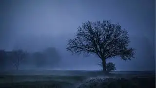 Traveling on an Abandoned road Horror story