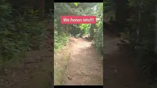 de vrouw met de bijl hele video te zien op YouTube #belgium #fyp #viraal #funny #horror