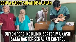 Momen Kucing Buntung Pergi Ke Klinik Berterima Kasih Sama Dokter Yang Sudah Merawatnya..‼️