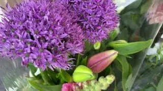 Flowers | itswinter | its winter