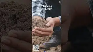 Plant based locavore diet for the environment, health and economy