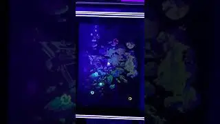 Vectrex Asteroids Deluxe