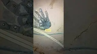 Giants Hand Print On Google Earth 😱🖐🏻