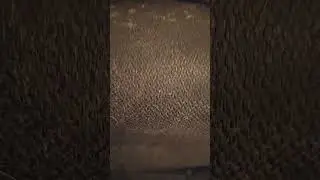 s6e3 , les grand proph&egrave;t sont orphelin au sens figur&eacute; Mahomet J&eacute;su Mo&iuml;se Joseph Isma&euml;l Abraham adam